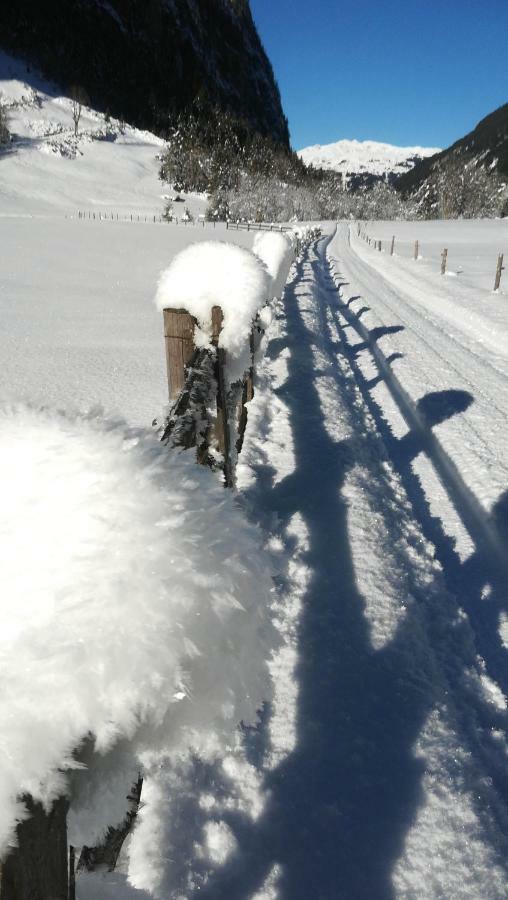 Waldrast Lägenhet Finkenberg Exteriör bild