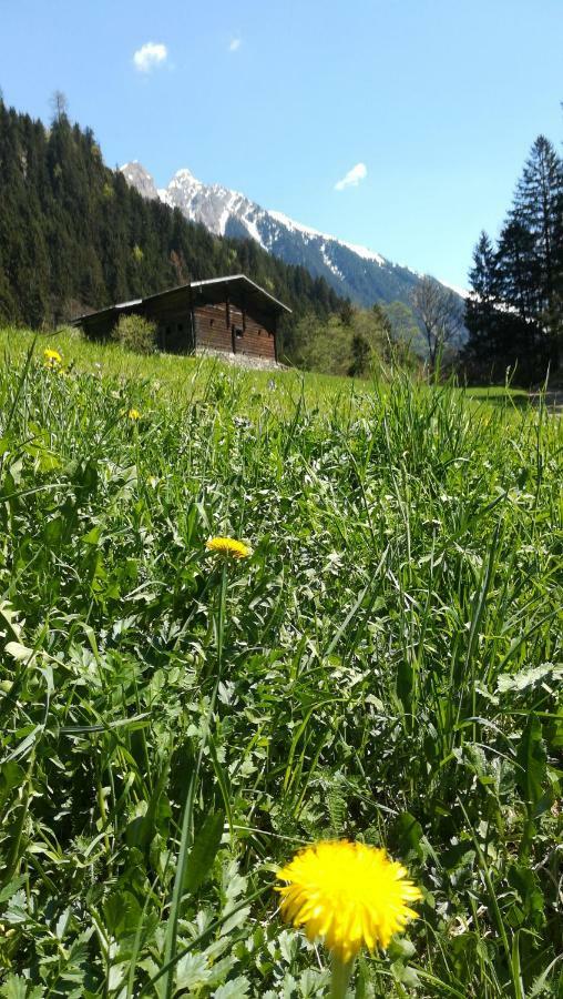 Waldrast Lägenhet Finkenberg Exteriör bild